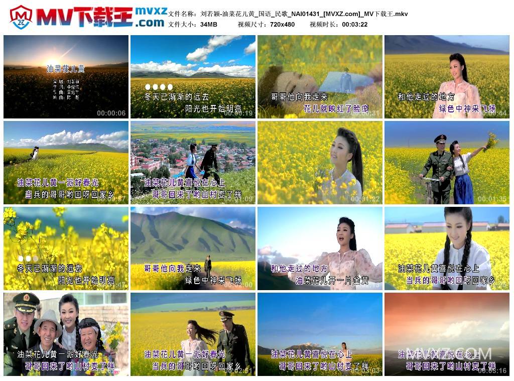 刘若颖-油菜花儿黄_国语_民歌_NAI01431